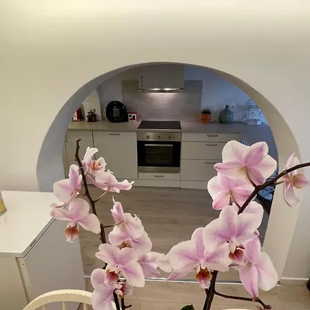 Apartment Sjarmerende I Gellert Haugesund