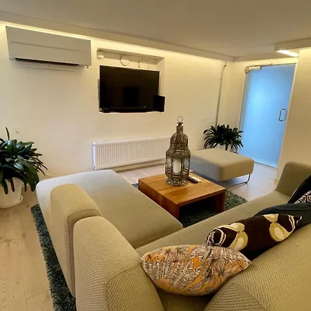 Sjarmerende I Gellert Haugesund